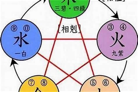 天機五行|天机星，化气为善，五行属乙木，广善之星，兄弟宫主，主智慧